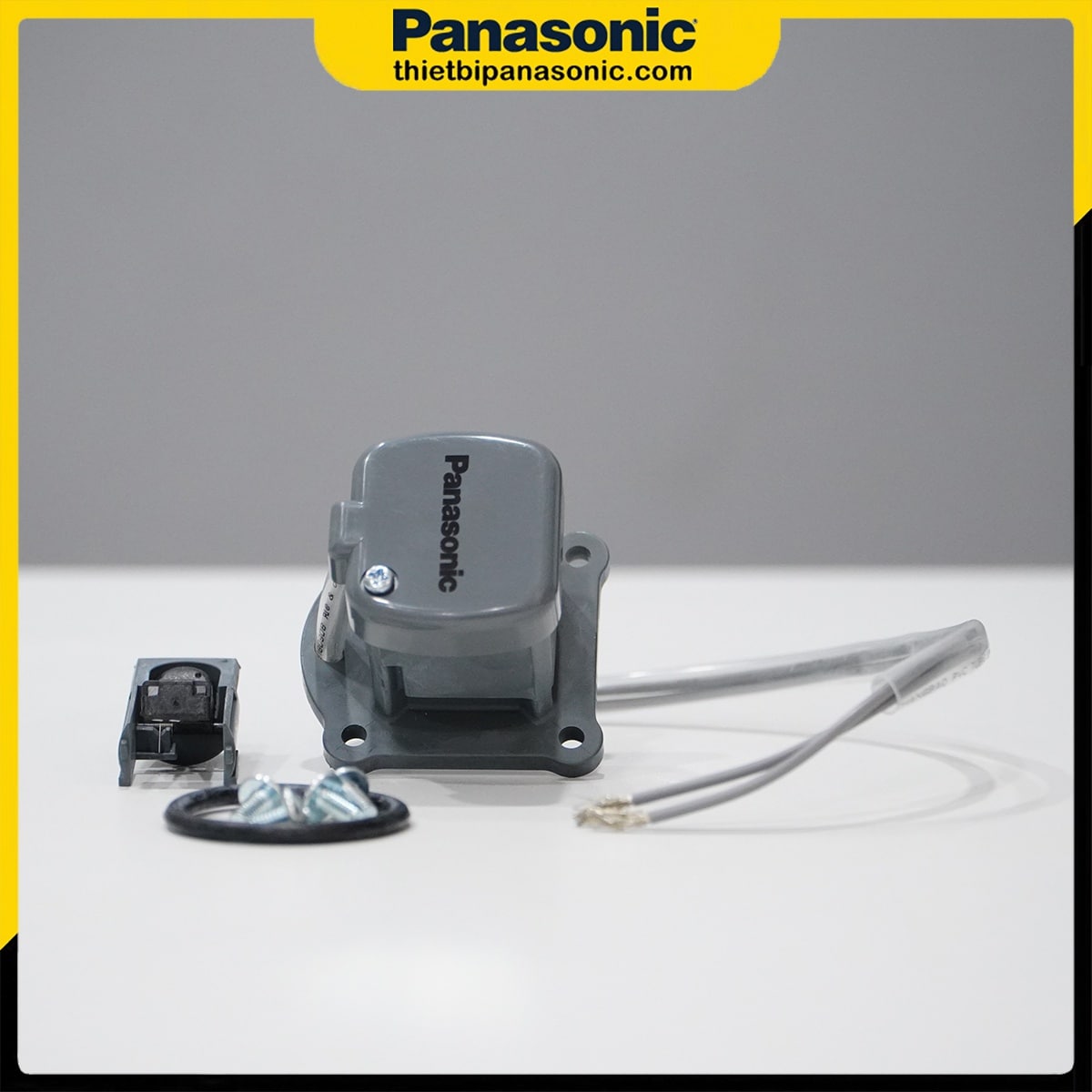 Rơ le điện tử máy bơm tăng áp Panasonic được sản xuất tại Indonesia